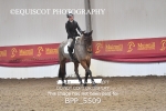BPP_5509