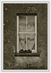 Dougal's Window