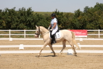 SBM_004944