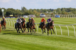 080624-Race 6-Tatterstall-4984