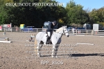 BPP_8506