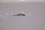 The first fresh snow 0946