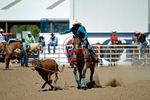 3HRodeo8-11-25_PRCASteer_07332_