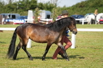 DSC05127