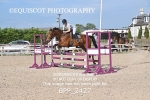 BPP_2427