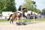 SBM_17767