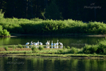 Family Gathering_0218