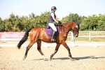 SBM_006691