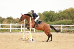 SBM_008764