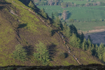 Lords Seat-9