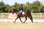 SBM_006727