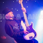 Peppered Ant Legs-158