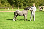 SBM_15895