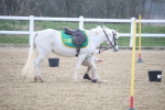 SBM_003373