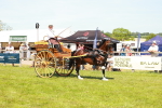 SBM_06713