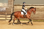 SBM_000559