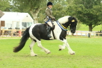 SBM_75165