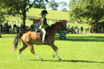 SBM_37419