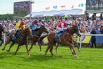 230526-Race 7-Golden Strike-7983