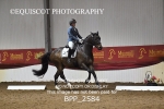 BPP_2584