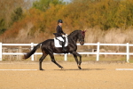 SBM_009373