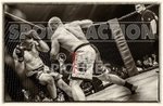 Cage Fighting_BW-9
