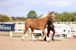 SBM_14292