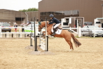 SBM_008267