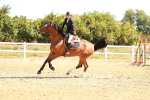 SBM_002617