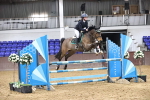 Class 9 - Senior British Discovery - 1.00m portfolio