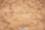 240524A-094348-02574