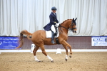 SBM_008969