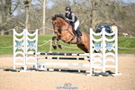 1 British Novice 90cm Open portfolio
