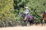 WJ6_7916