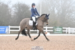 215-Olivia.Luscombe-Caederwin.Lady.Elinor portfolio