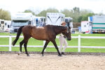 SBM_03889