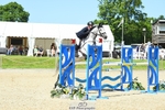 454-COOLEY_ROSALENT-Oliver_Townend-SJ portfolio