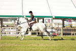 SBM_20119