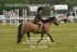 JAC_4200