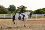 SBM_006845