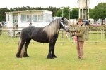 SBM_00621
