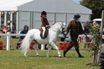 JPP_1650