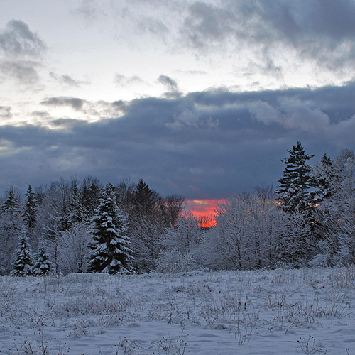 The setting sun creates a splash of color in an otherwise white and wintery landscape
