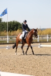 SBM_006428