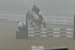 Cls 27 85cm Amateur Quali portfolio
