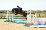 SBM_006042