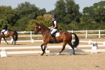 SBM_006475