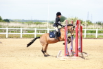 SBM_007847