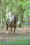 Izzy Mcclelland Photo Shoot portfolio