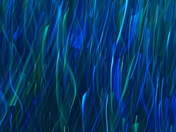 Neon portfolio